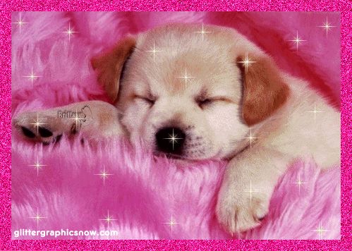 FernadaChsp's profile picture. 