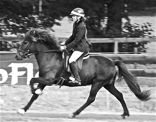 MissTank98's profile picture. 