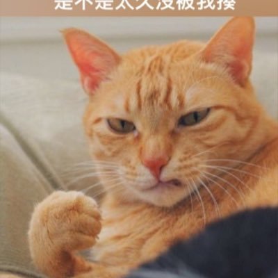 alldayddlong's profile picture. 