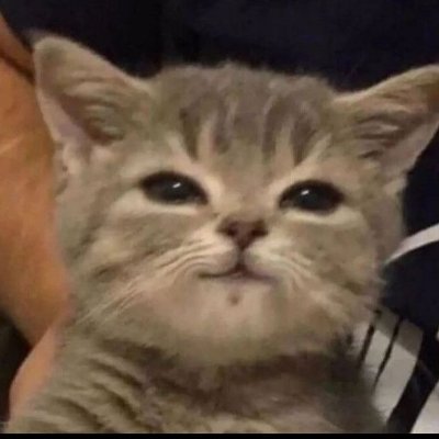 JVitor97517163's profile picture. 