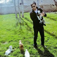 🇹🇷 ℤ𝔸𝔽𝔼ℝℝ 🇹🇷 (@zafer_byk) Twitter profile photo