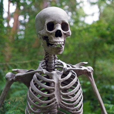 captinjackk's profile picture. 