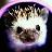 hoo2545's profile image