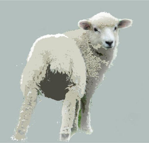 freedom_mak's profile picture. observer, creator,vagabond...