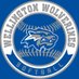 Welly_Softball (@welly_softball) Twitter profile photo
