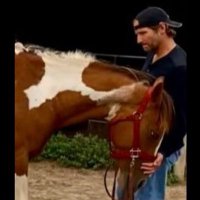 Todd McIntyre (@ranchhorsessk) 's Twitter Profile Photo Todd McIntyre (@ranchhorsessk) 's Twitter Profile Photo