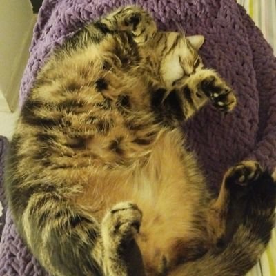 turtleblack_'s profile picture. the giggle at a funeral