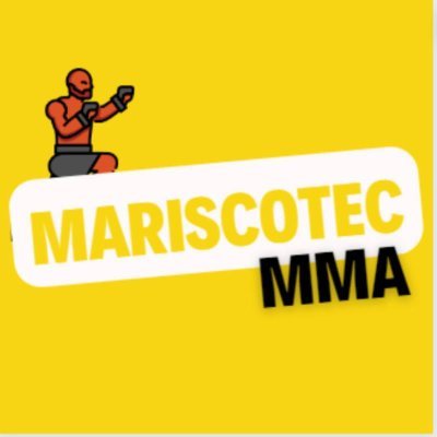 escribo mis experiencias, opiniones y analisis sobre el mma