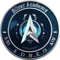 Silver Academy(@Silvr_Academy) 's Twitter Profile Photo