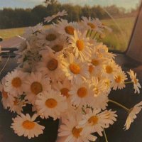 Zulema Rodriguez (@zulema_123455) 's Twitter Profile Photo