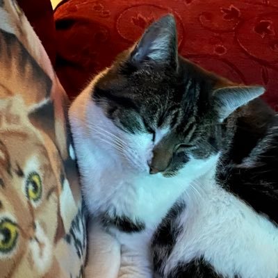 VickyRosier5's profile picture. 