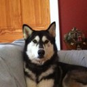 Deborah Beckham - @2LaneGrl - Twitter