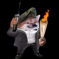 LowWisdomFella (@lowwisdomczech) 's Twitter Profile