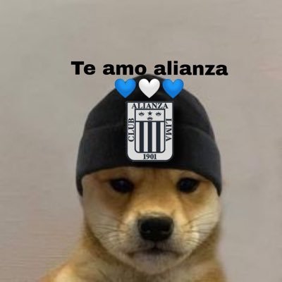 ALIANZA LIMA SIEMPRE 
        💙🤍💙