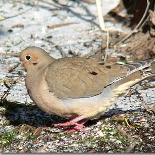 johndennison1's profile picture. Healthcare worker, father , husband and gamer .