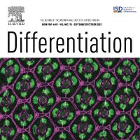 Differentiation Journal(@Diff_Journal) 's Twitter Profile Photo