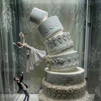 King Climber (@steve5529692311) 's Twitter Profile