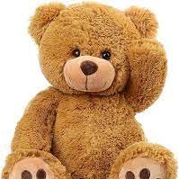 Vanda8364974146's profile picture. Teddyyyy