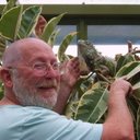 fred mead - @rockydog007 - Twitter