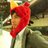 yoshidaGeppa's profile image