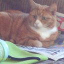 val gates - @valgates2010 - Twitter