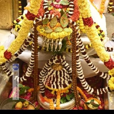 shyama_bjpit's profile picture. 