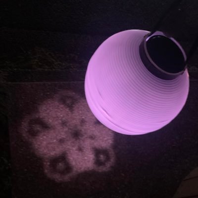 shibaken_sns's profile picture. SNS・メディア・芸能・お笑い・音楽関係をツイート・RTしていくためのサブアカウント。