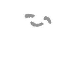 ごはんのおともさんのプロフィール画像