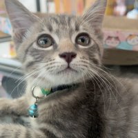 fluffy - ( ไม่รับฟอล ) (@feidlsty) 's Twitter Profile