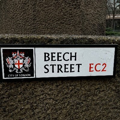 albionkanute's profile picture. 