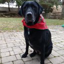 Mark Beebe - @MarkBeebeII - Twitter