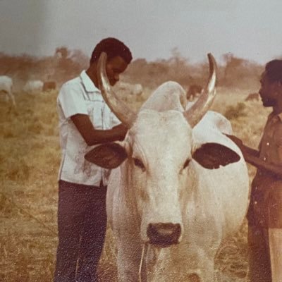 landlord Of Yola.