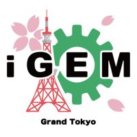 iGEM Grand Tokyo(@igemgrandtokyo) 's Twitter Profile Photo