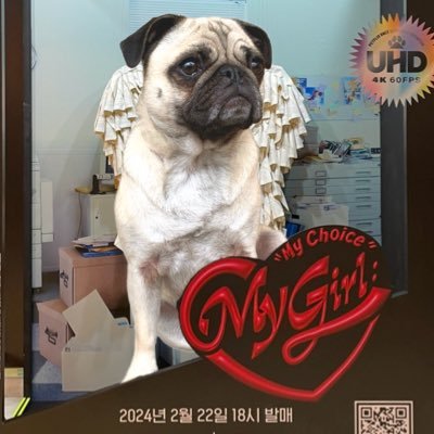 Sandy Pugsly 🐾🦋🌖さんのプロフィール画像