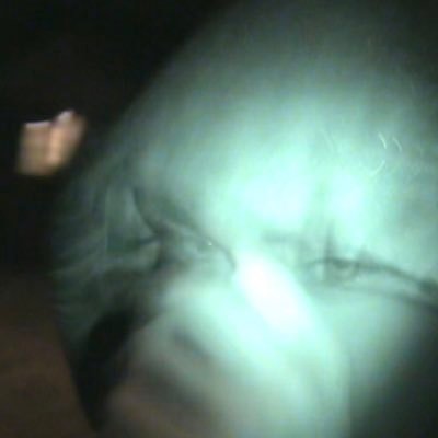 heypesos's profile picture. 