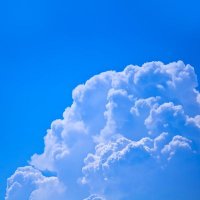 oyakosport (@oyakosport) Twitter profile photo