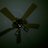 javy811's profile image