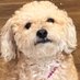 MANGO (@manguitoess) Twitter profile photo MANGO (@manguitoess) Twitter profile photo