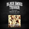 BlkSmokeTrigger's profile picture. We are a hard rock band from New Zealand on a mission to take over the world. New single "Proof of Life" Out now