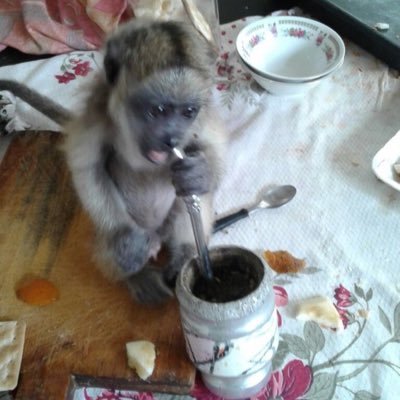 topita12290's profile picture. Julian Álvarez nos traera alegrias indescriptibles.