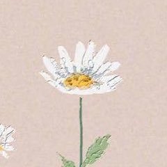 lwtrogue94's profile picture. 🐰🪐🪴🤍