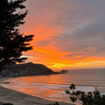 DarleneD1977's profile picture. Democrat.💙 Watching democracy swirl down the drain and hating the enablers allowing it to happen. DM’s = instant block. Dementia sucks.💜