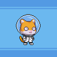 ZEEKS (@zeekcats) 's Twitter Profile