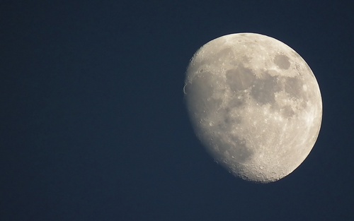 iridium_777's profile picture. ‏‏‏‏‏‏‏‏توسد عناك.. فلاشئ يطفئ نار الغريب سوى ان ينام ليلقى الأحبة بين البياض والسواد، وعند المنام.. يصافح ارضا تغرب عنها ويلقي على الغائبين السلام