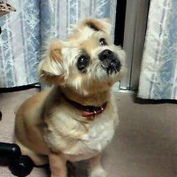 ゆき (@nomyuki) Twitter profile photo