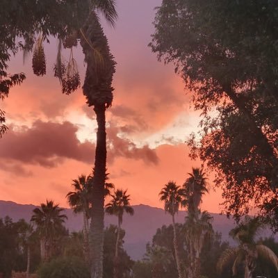 brlassrachel's profile picture. married