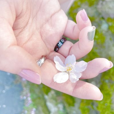 時雨◬さんのプロフィール画像