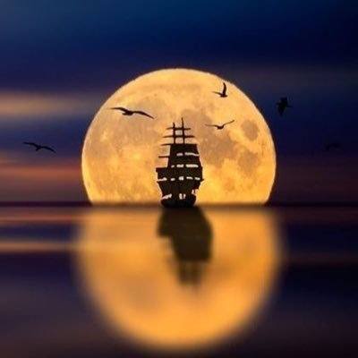 Taf__s's profile picture. أقدارنا مكتوبه فلنعِش بهدوء