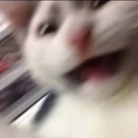 😿 (@sadward45238) 's Twitter Profile Photo 😿 (@sadward45238) 's Twitter Profile Photo