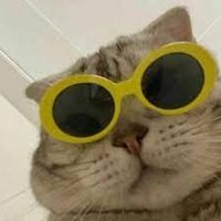 JaebiN (@jaebinvlrt) 's Twitter Profile